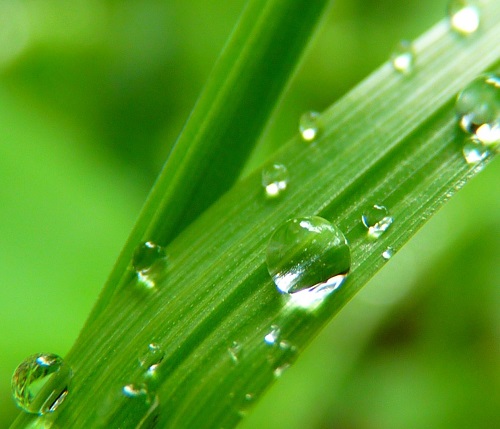 ストレスをためない